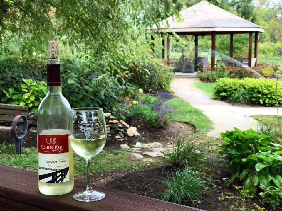 Bottle and glass of wine on the fence with garden in the background