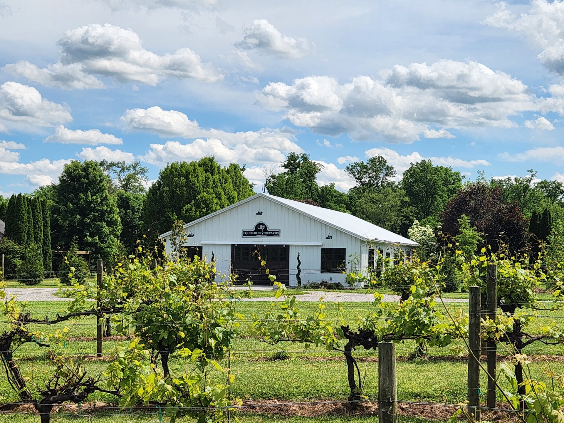 Vineyard Terrace Room exterior